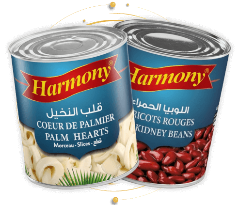 agence design packaging conserve au maroc