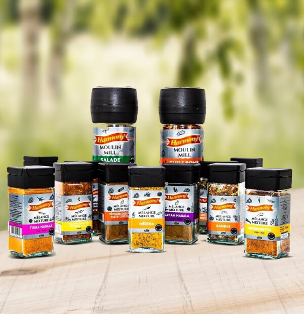 emballage-alimentaire-design-maroc