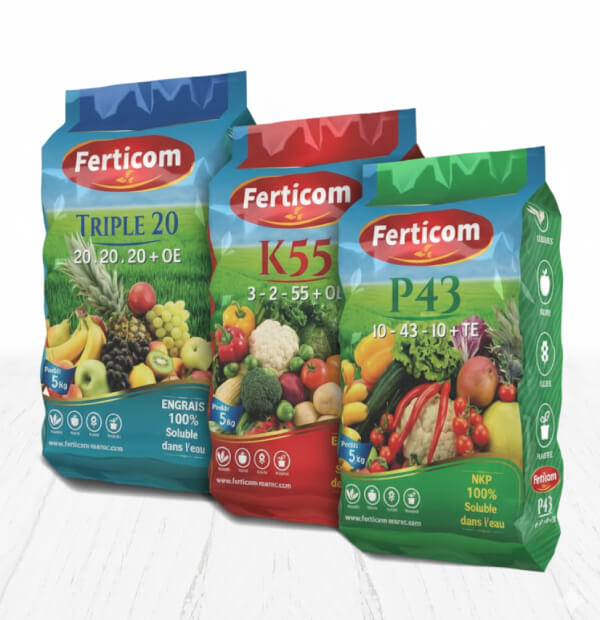 agence-emballage-design-maroc