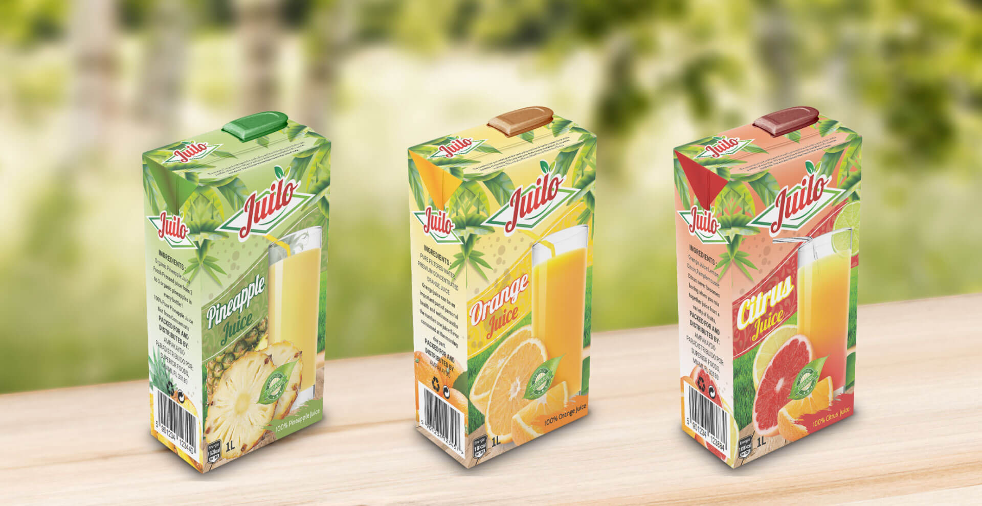 design-packaging-alimentaire-agadir